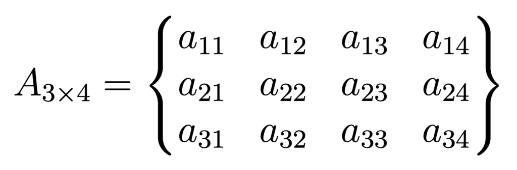 matrix with curly brackets in latex